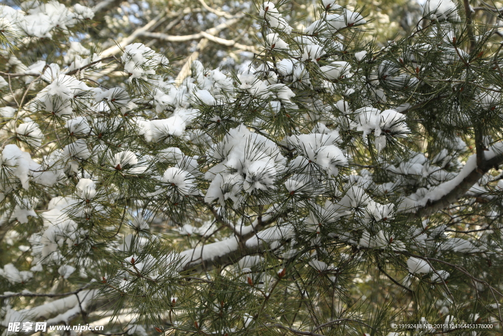 雪后的景色