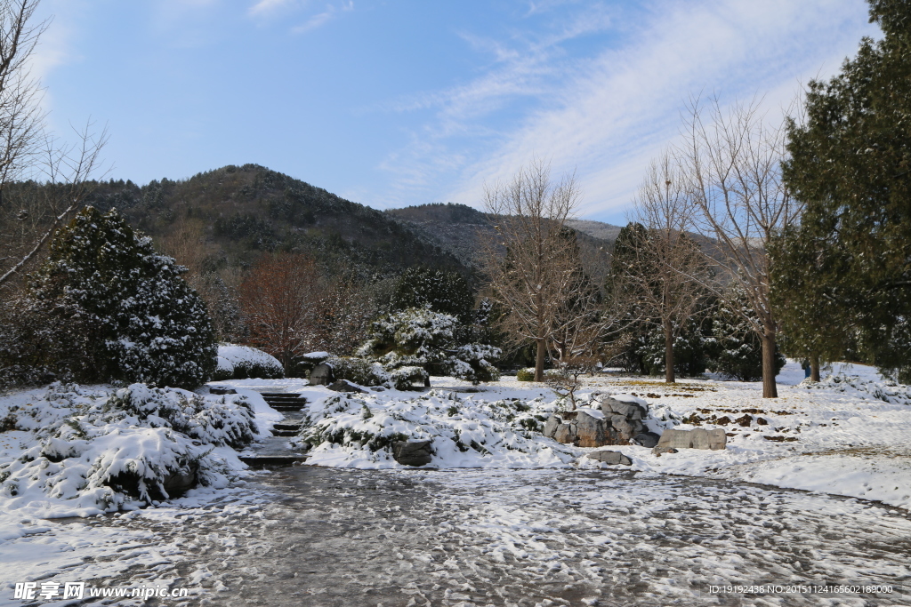 雪景