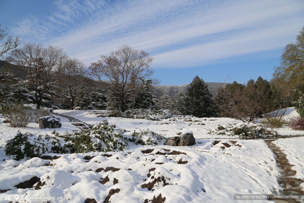 雪景