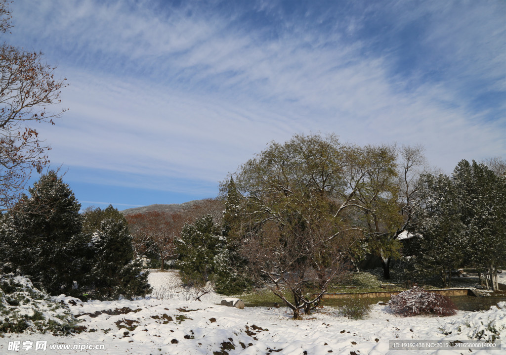 雪景