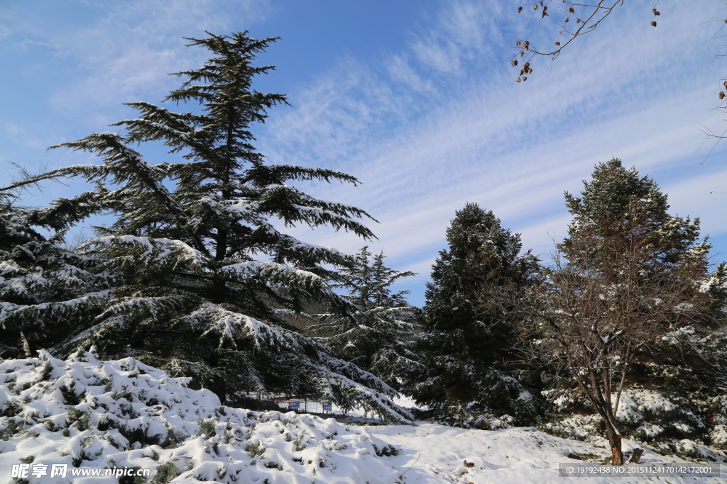 雪后的景色