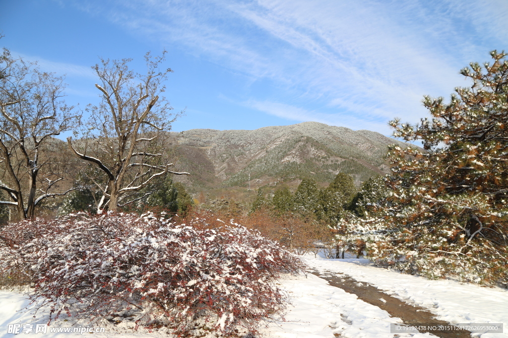 雪景