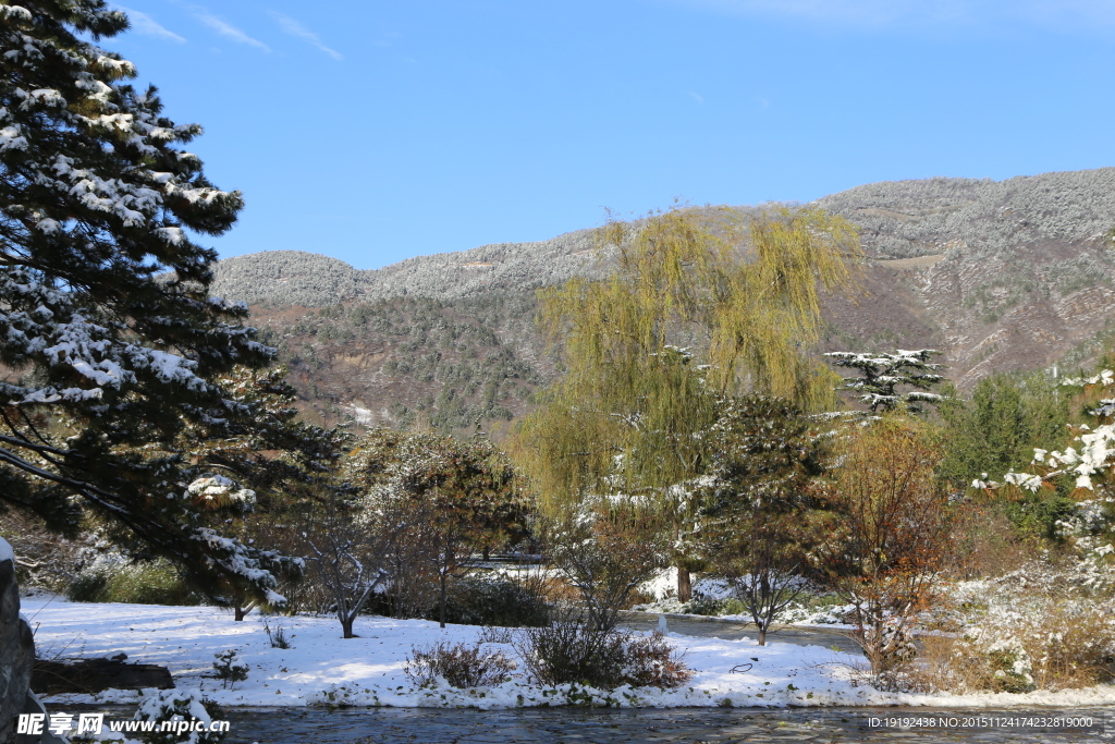 雪景