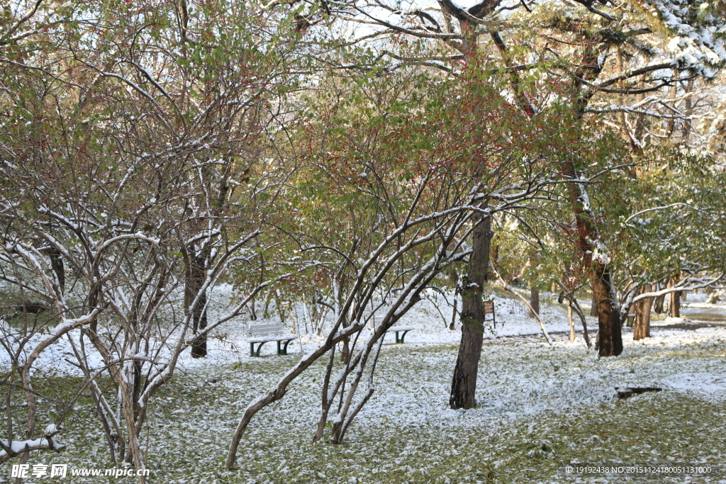 雪景