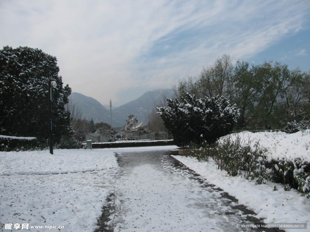 雪景