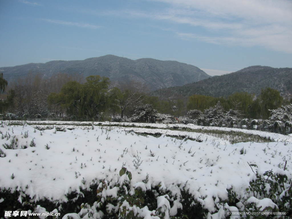 雪景