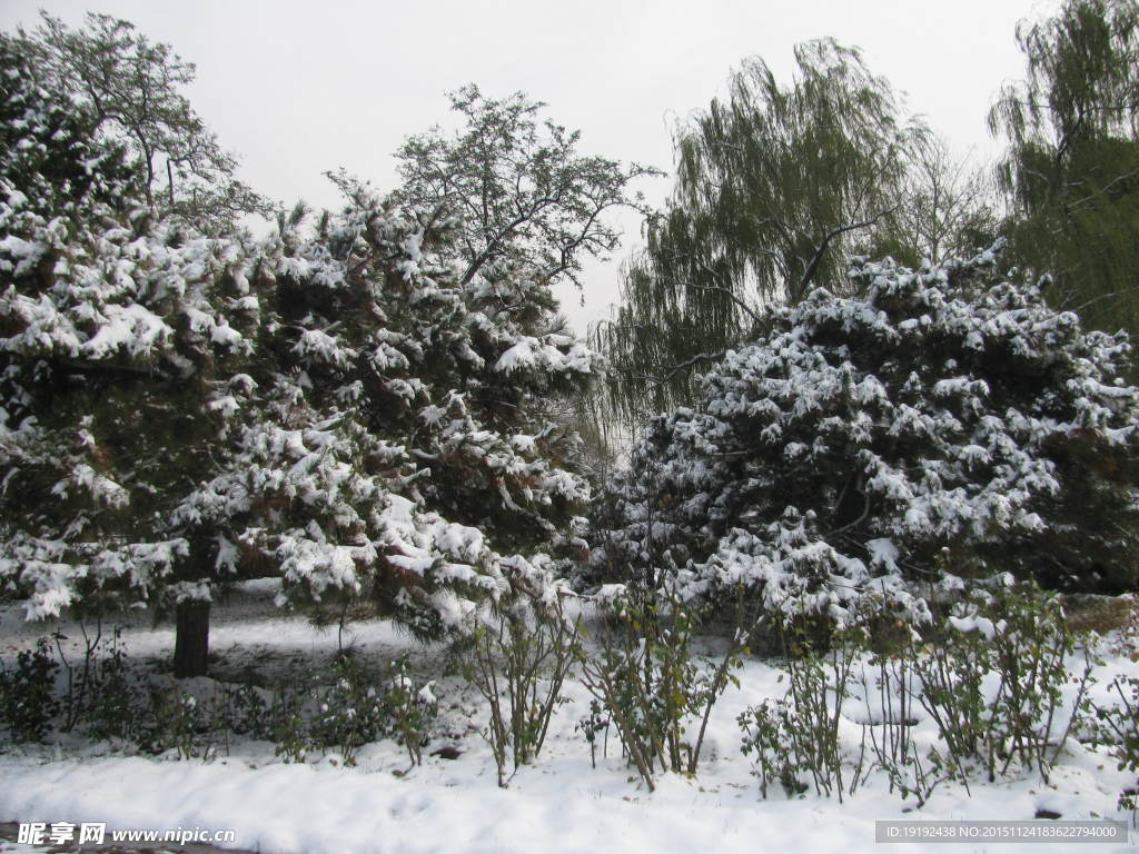 雪景