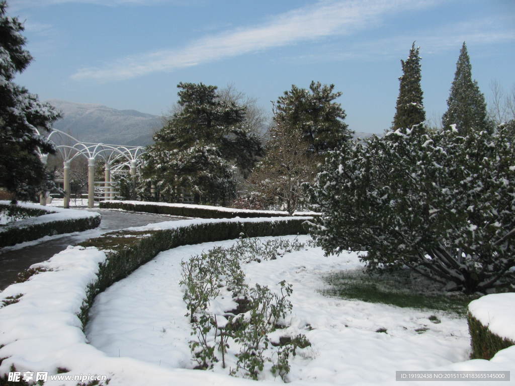 雪景