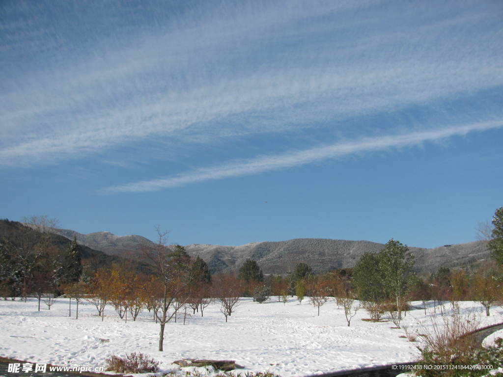雪景