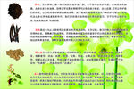 中药养发