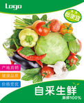 生鲜版面