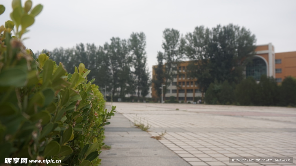 大学校园