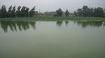 吉利大学 吉利湖