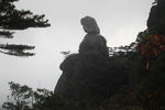 三清山全景 云海 云雾 山顶雾