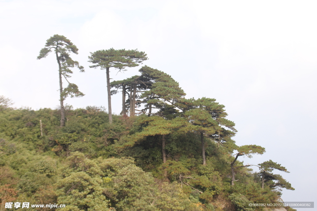 三清山全景 云海 云雾 山顶雾