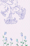 郁金香