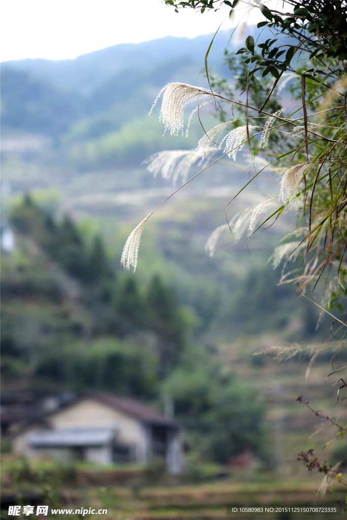 丽水云和梯田沙埔村美景