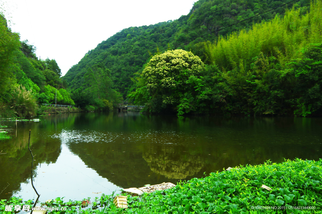 青山峡谷 幽静山水