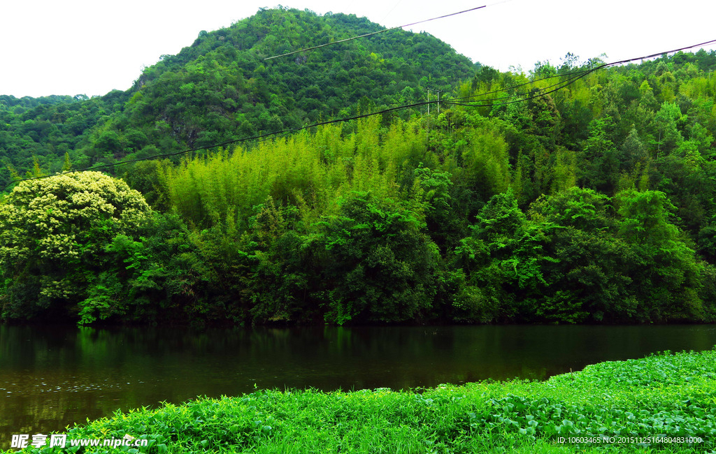 青山峡谷 幽静山水