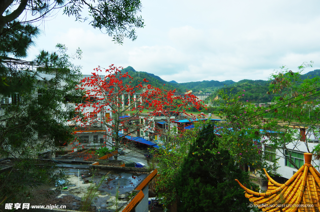 苏区山水 三河坝