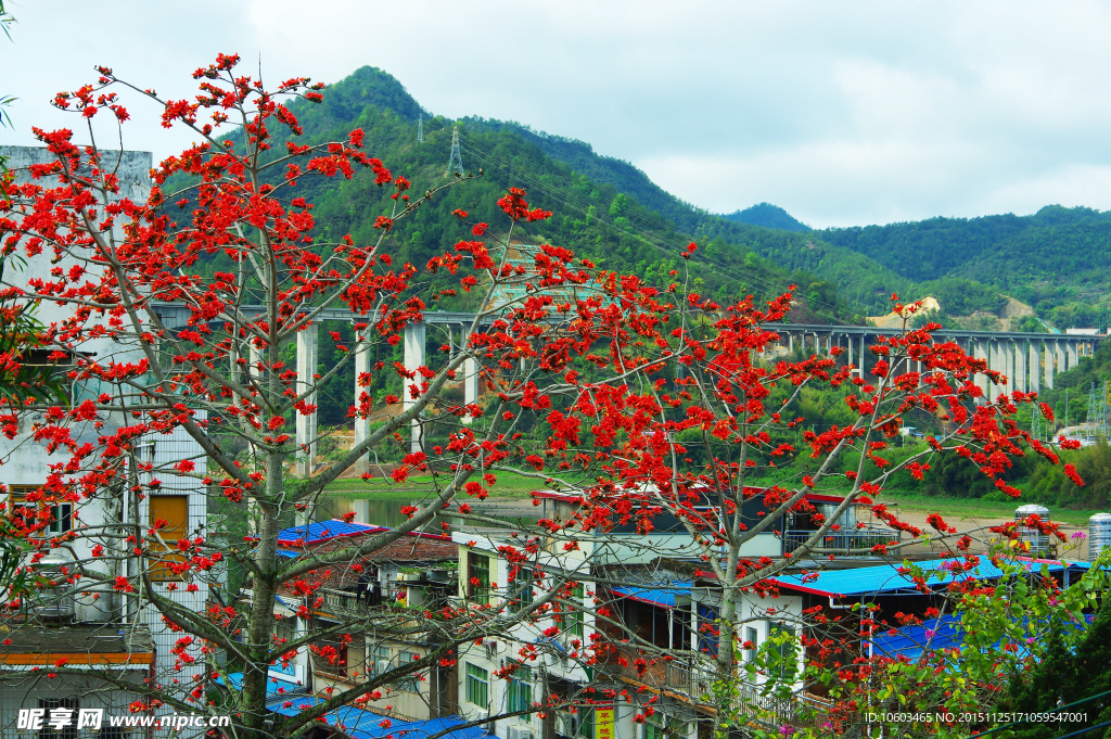 苏区山水 三河路桥