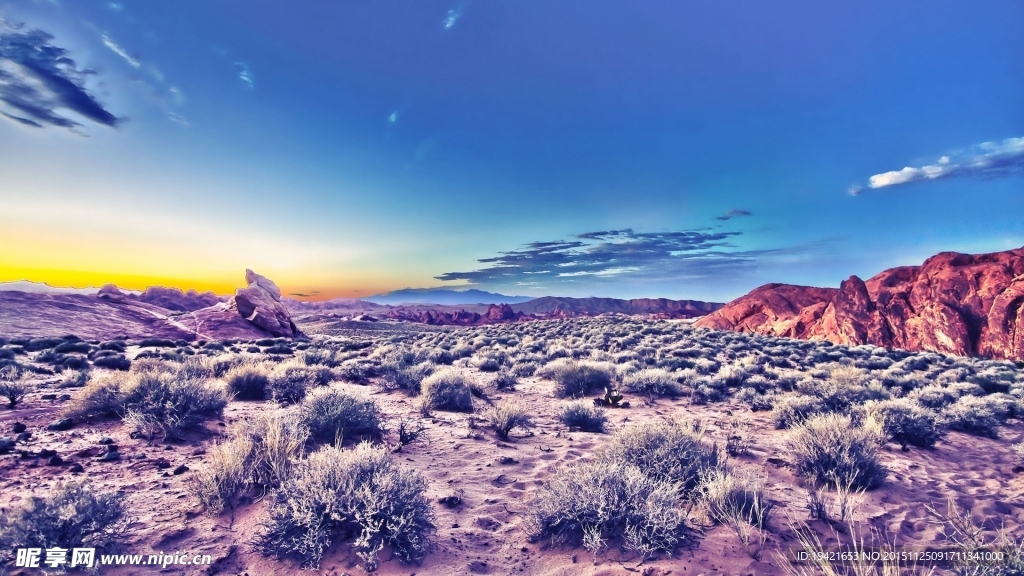 紫色沙漠岩石