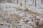 小雪