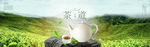 茶叶banner海报