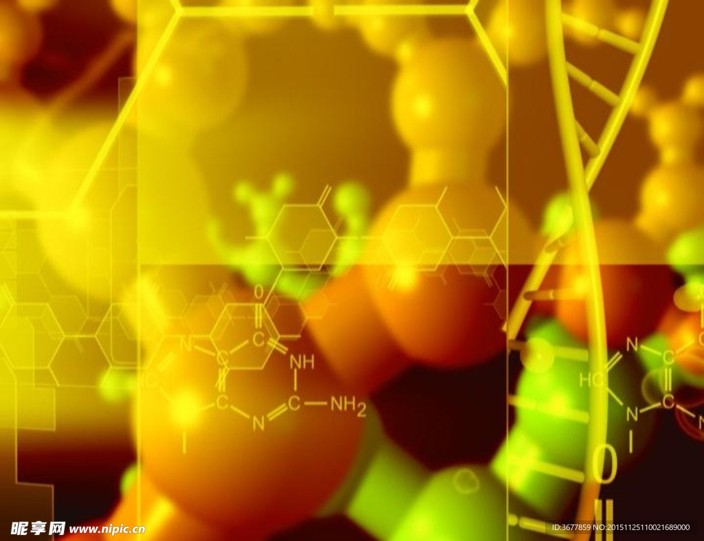 生物医学动态视频
