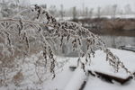 第一场雪  雪景