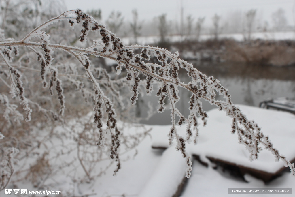 第一场雪  雪景