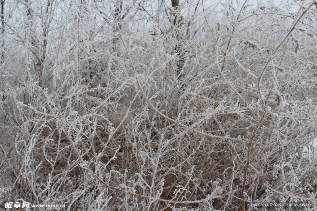 第一场雪  雪景