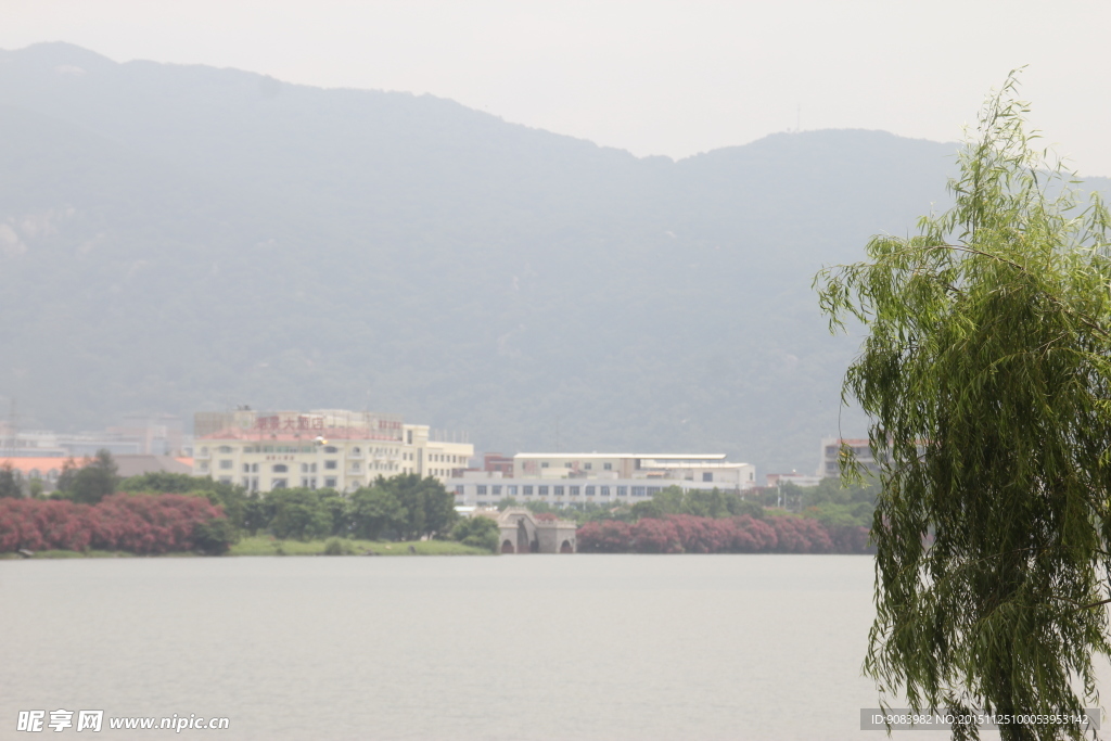 星湖花园全景 广告设计 天然景