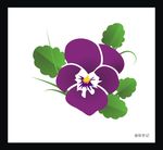 潘茜 紫罗兰色 花 叶子 矢量