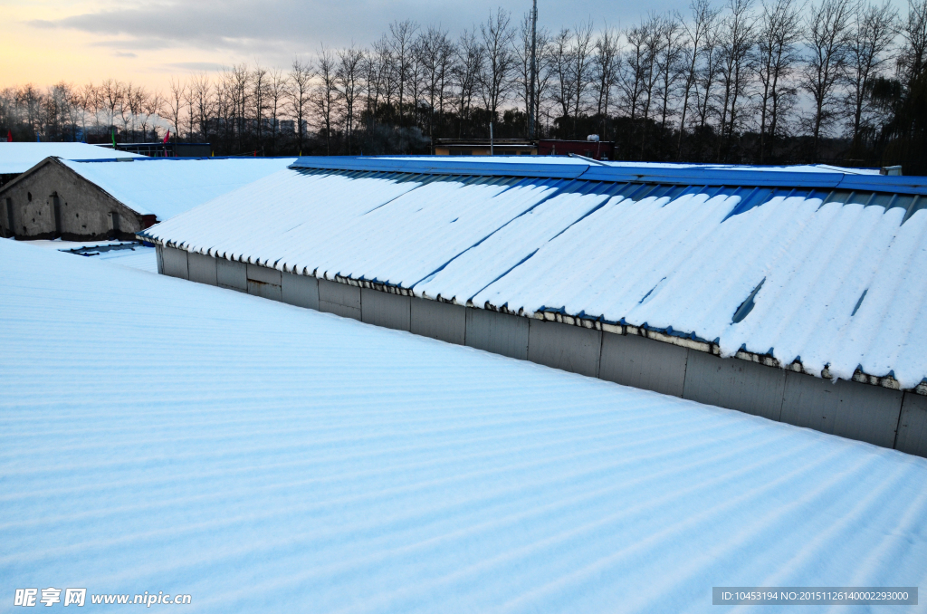 大雪