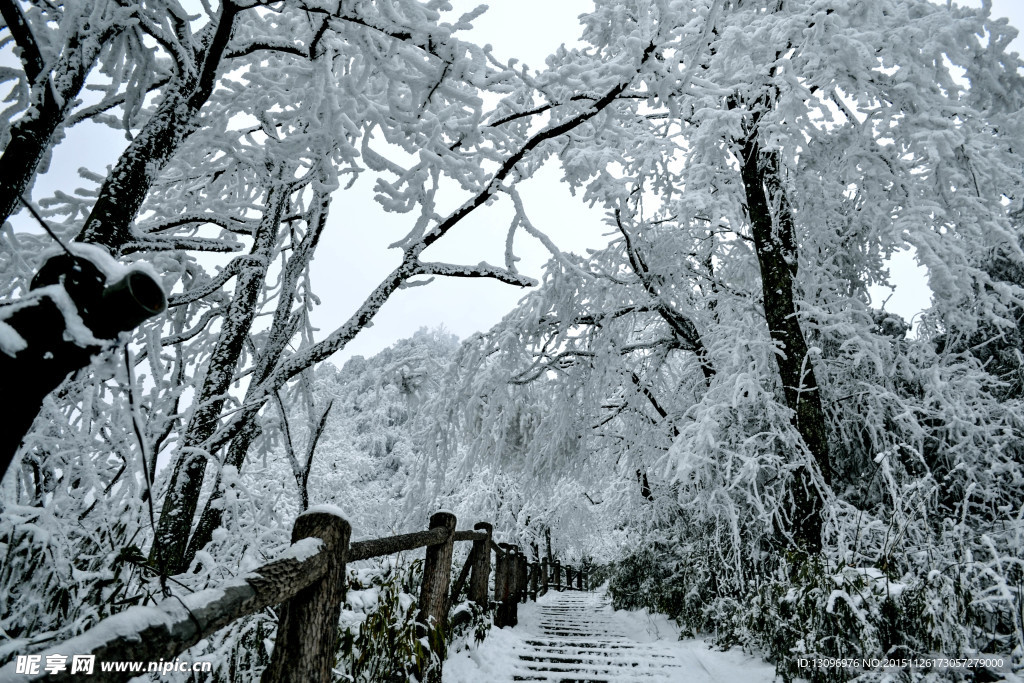 雪景