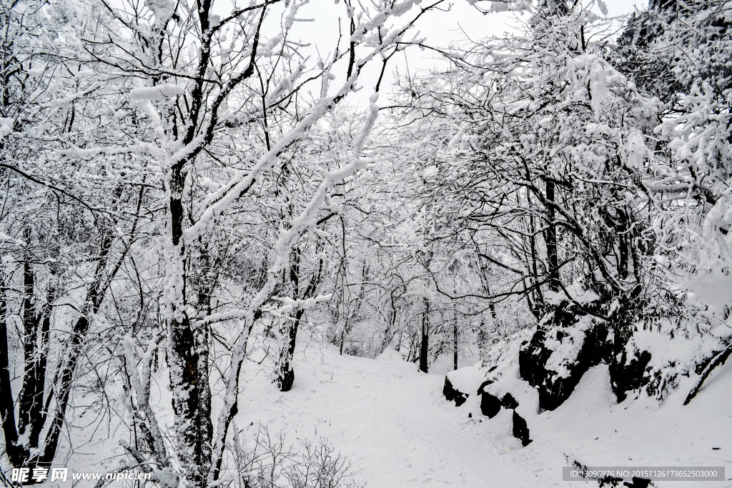 雪景