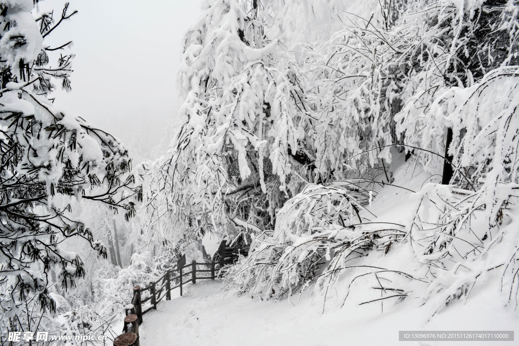 雪景