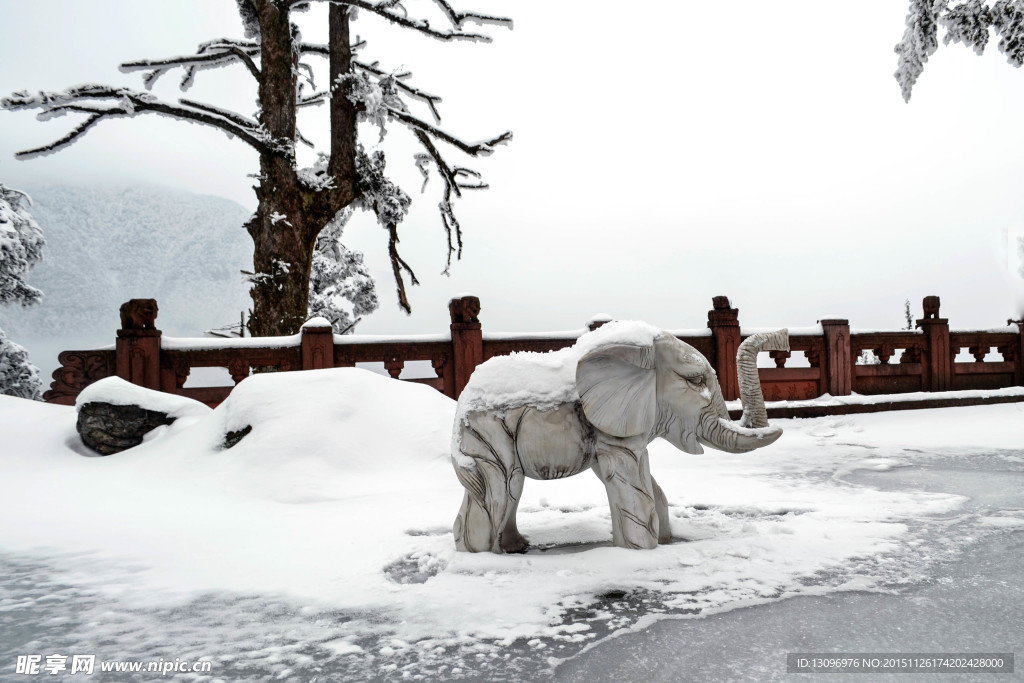 雪景