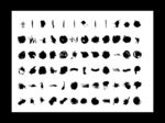毛笔 画笔 笔刷 喷溅