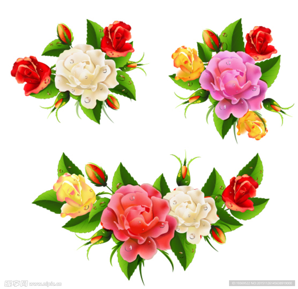 玫瑰花矢量素材