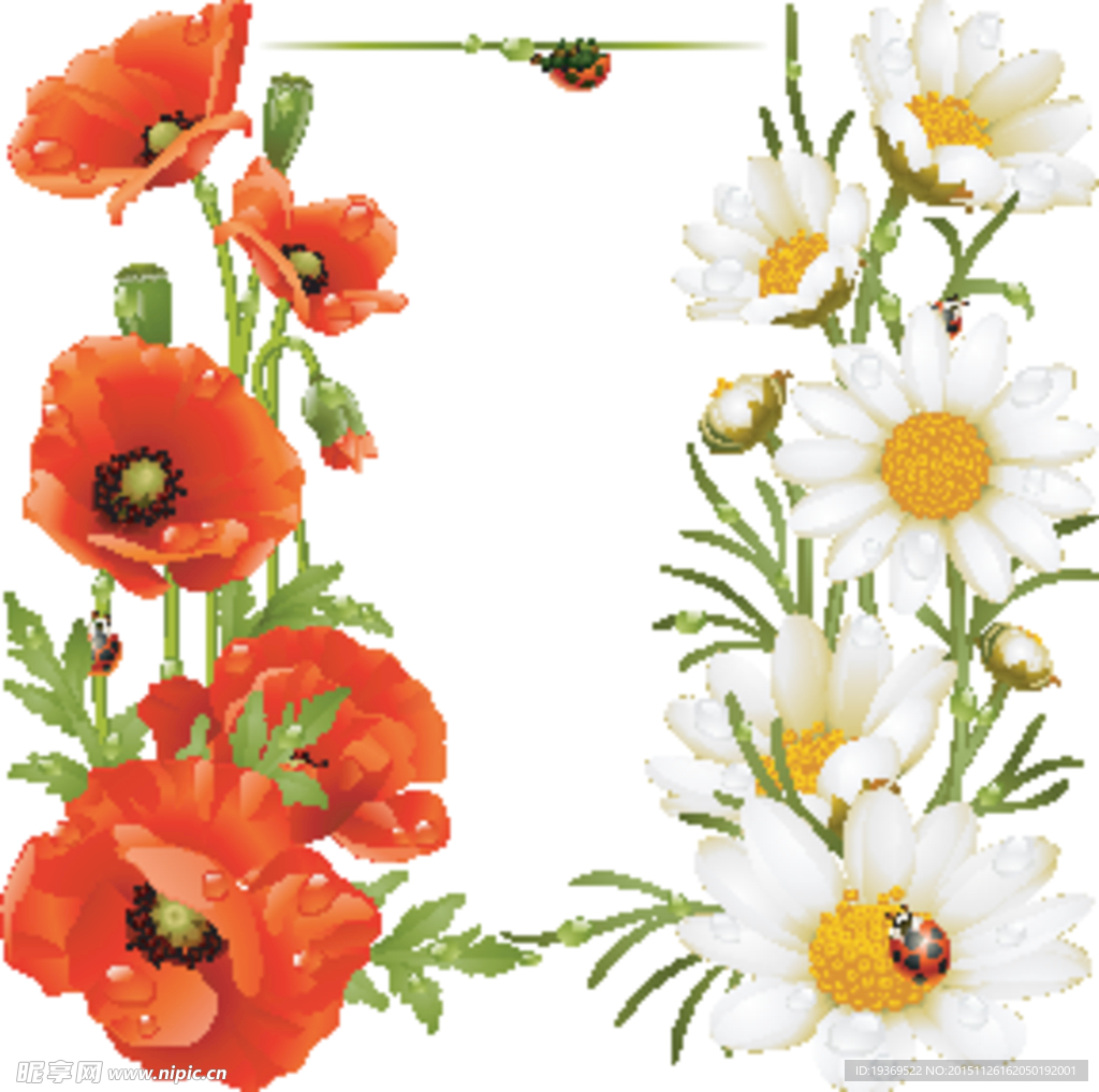 花卉植物插画矢量素材