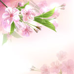 梦幻粉色杏花矢量素材