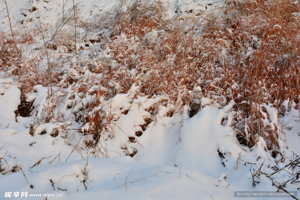 雪