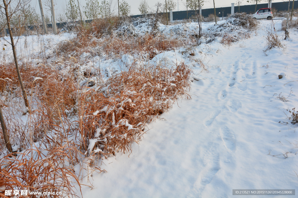 冬天 雪景