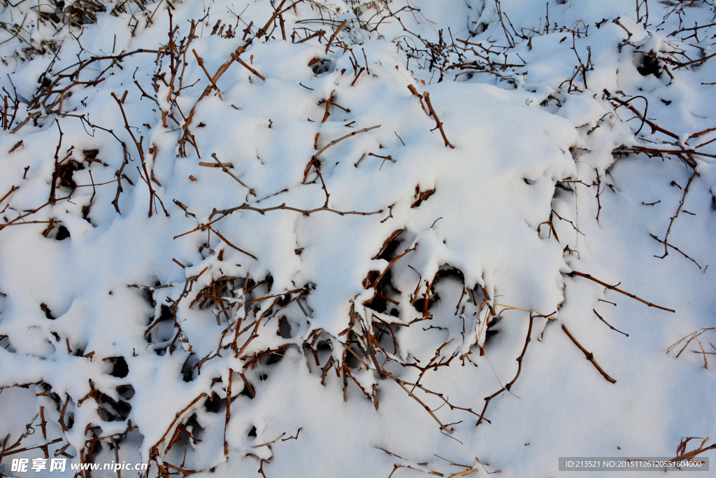冬天 雪地
