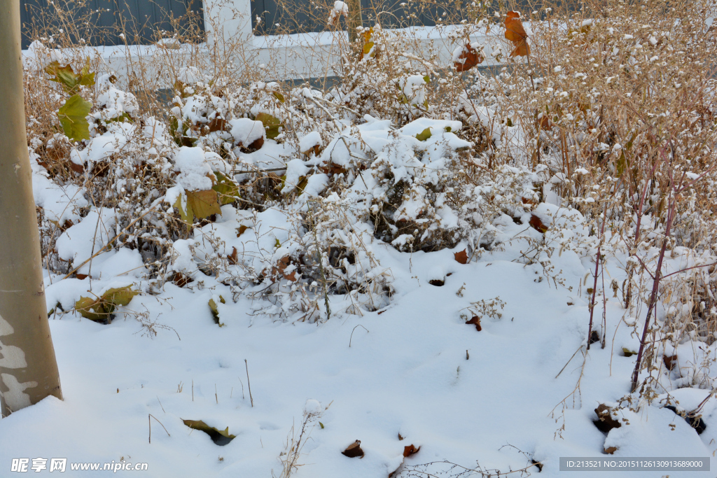 角落的雪
