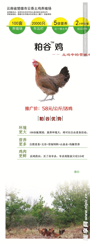 土鸡 易拉宝 室外 展架