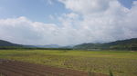 田园风光