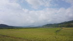 田园风光